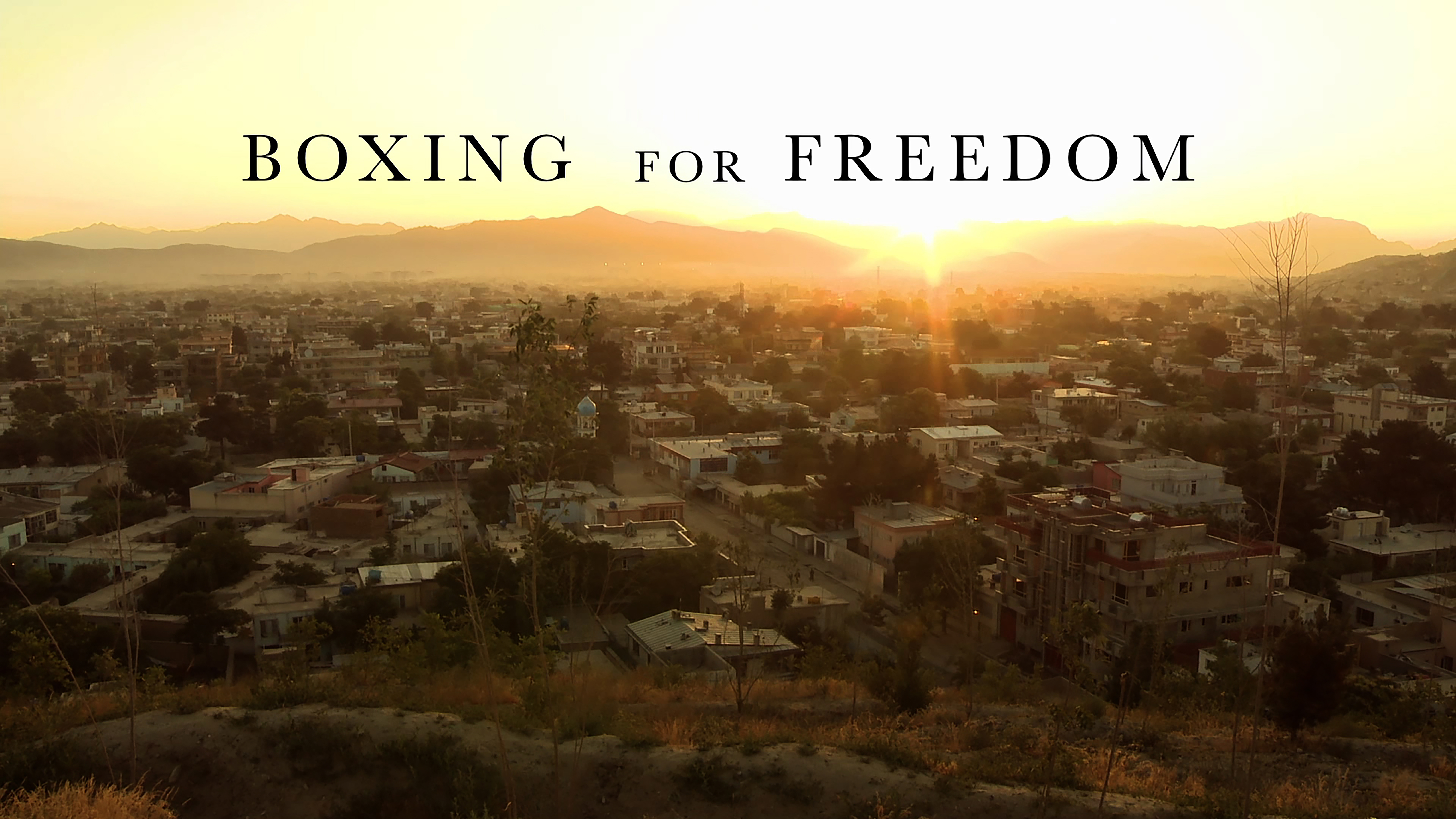 boxing-freedom2-culturabadajoz