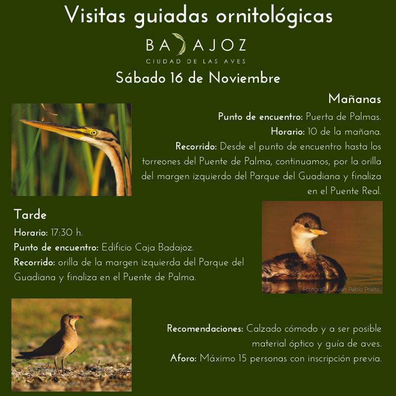 rutas ornitológicas 16 de noviembre